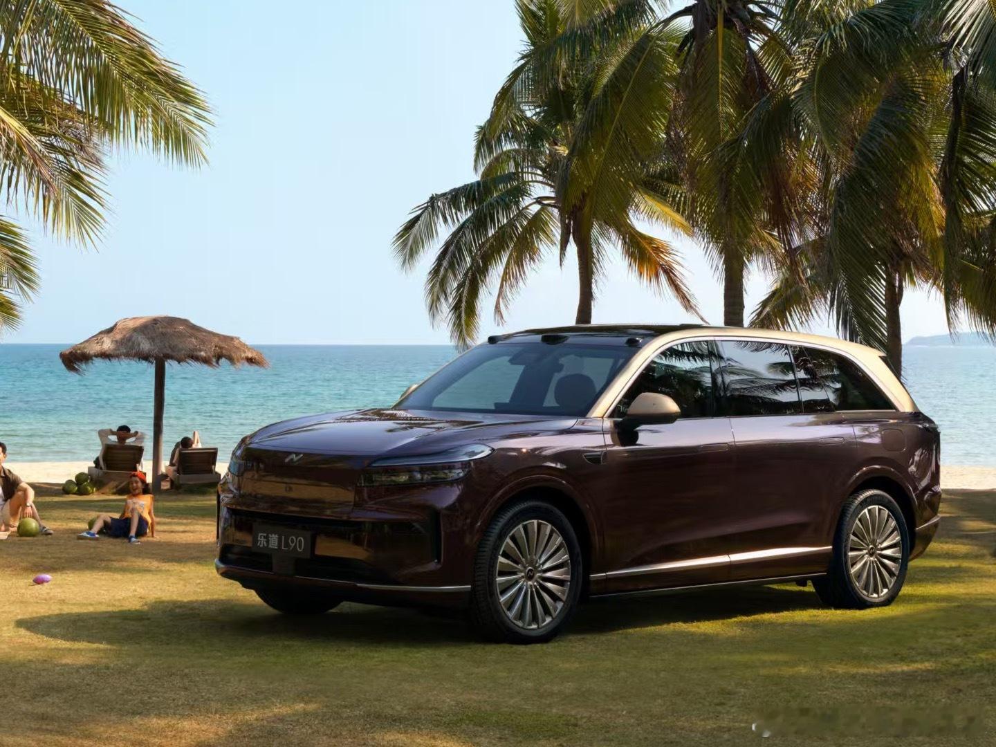 原来“神玑NX9031芯片”“神玑”的意思是“神机妙算”！妙啊！特来哥乐道汽车蔚