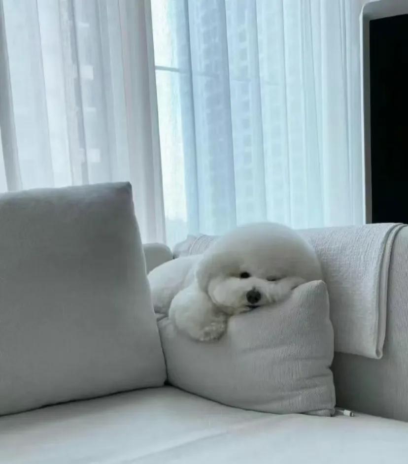 有专家表示，自2000年以来，购买乐高系列比投资股票、黄金或者储蓄更增值。从千禧