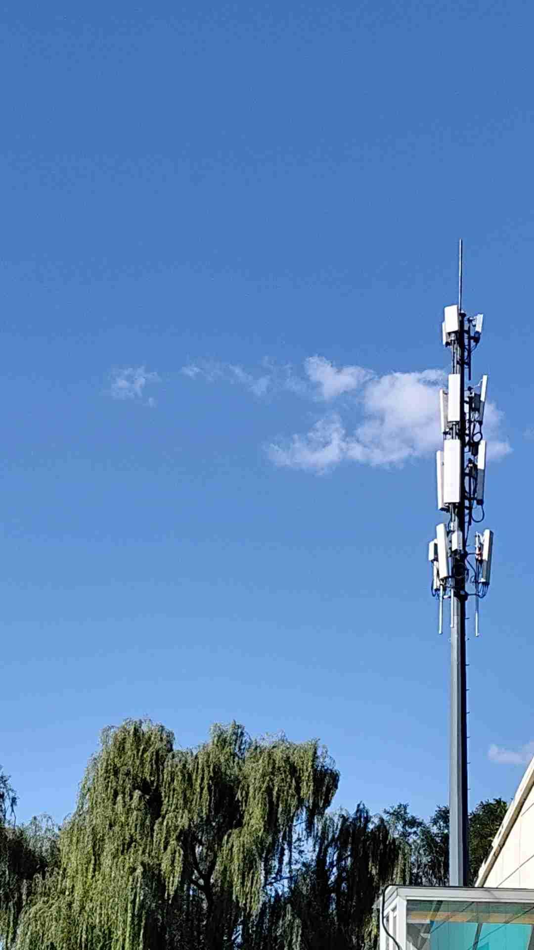 我的今日状态：😁轻松愉快
我这里的天气：☀️晴天
我这里的人啊:   [我想静