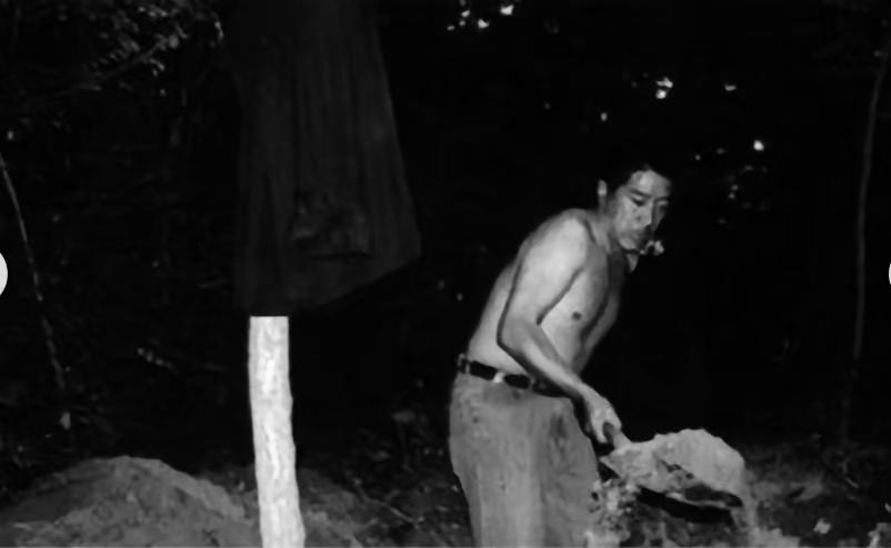 2005年，白宝山情妇谢宗芬，12年大牢蹲完刚出来，没回四川，扭头就扎进新疆。