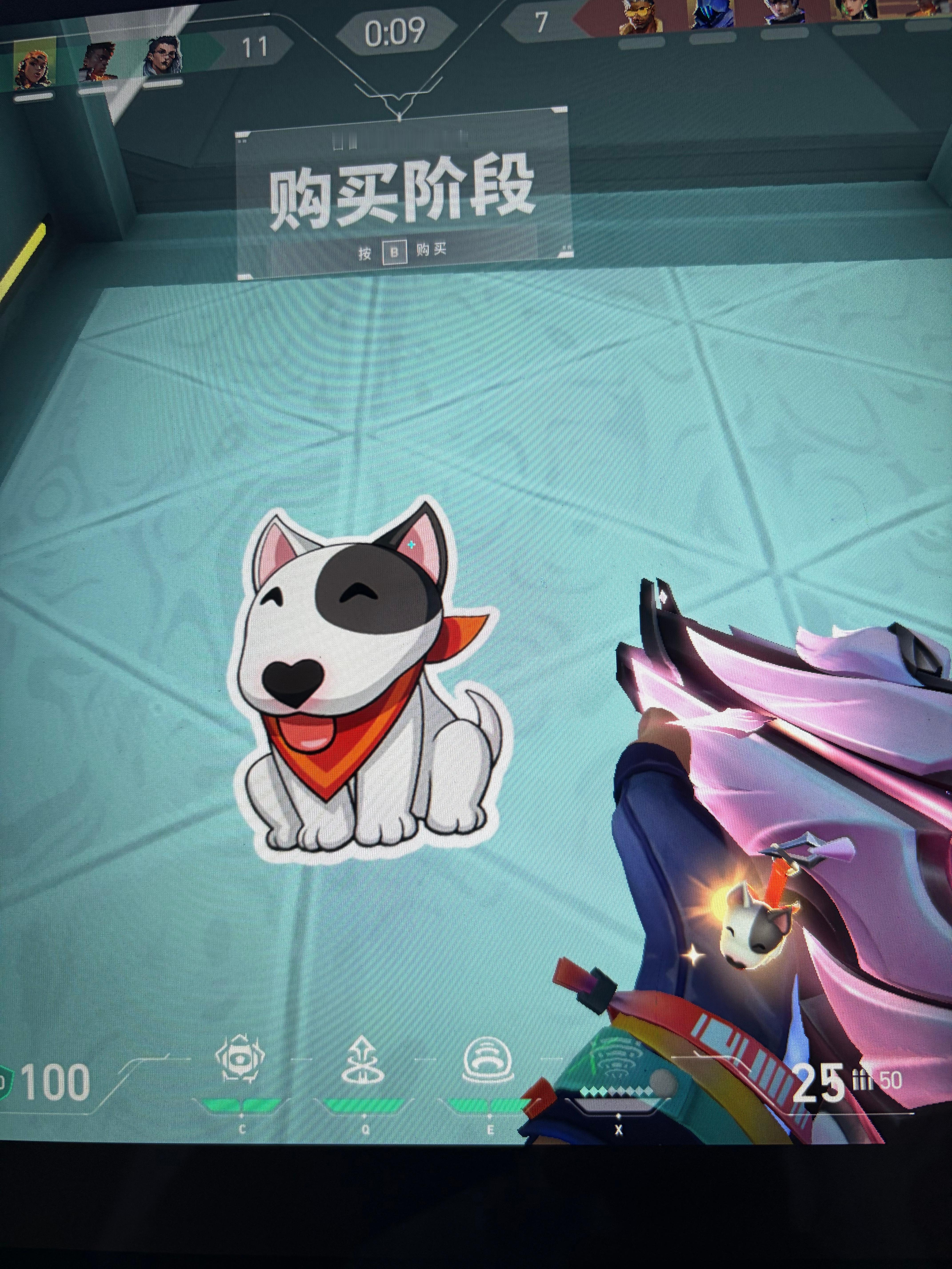 想和你养个狗狗 ​​​