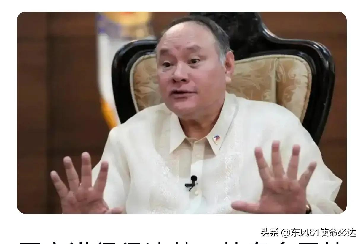 菲律宾防长特奥多罗家族中的许寰哥家族核心是生力集团，在华业务包括：
 
1. 包