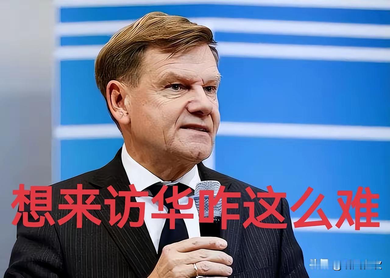 这货是德国外长瓦德富尔，多次发表涉台不当言论，访华被拒，竟然邀请蔡英文，沈伯洋去