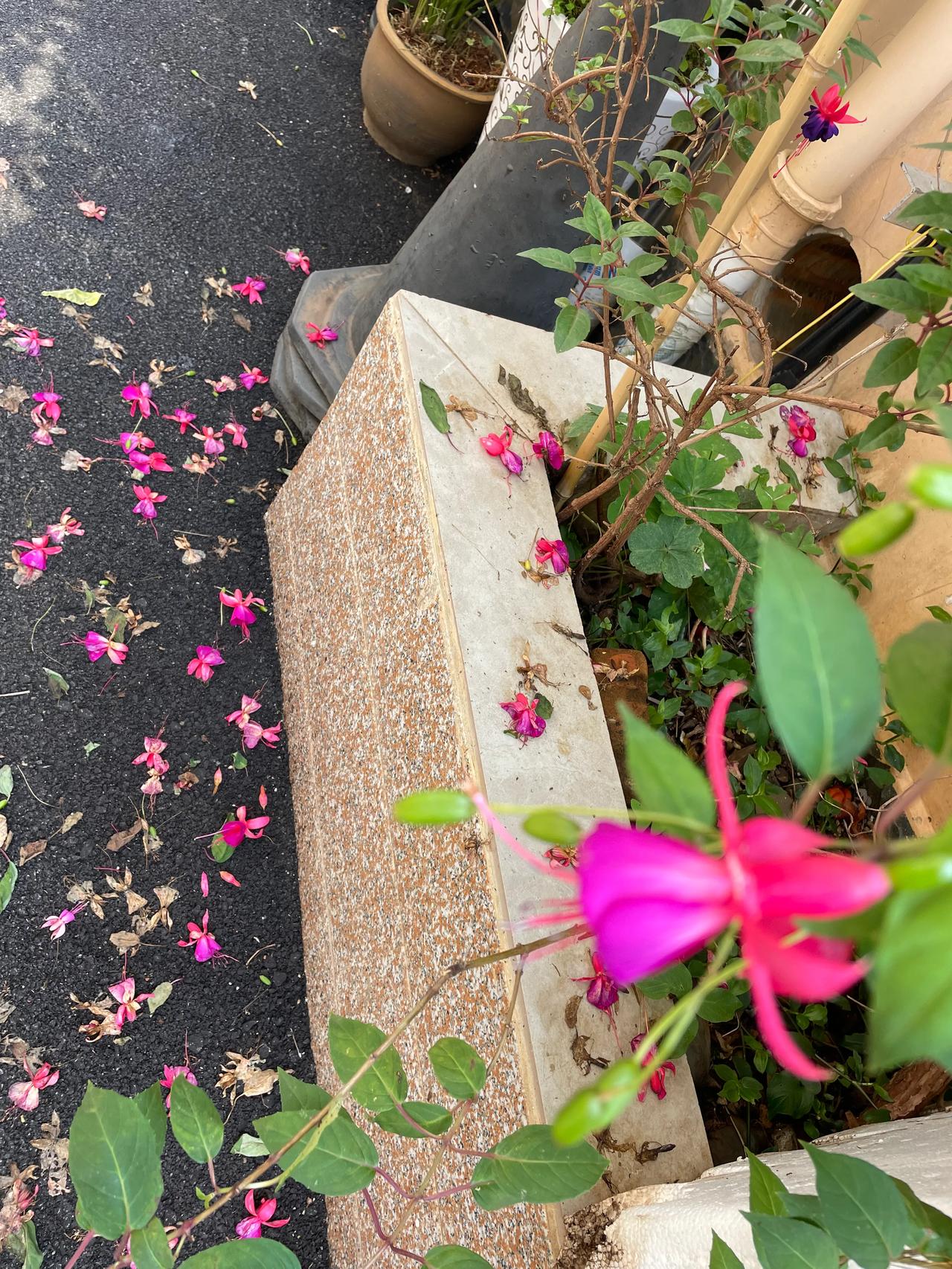 #一人发表一句今天的感悟#
做家务，是一种行动的诗篇，我在其中注入了爱和耐心，收