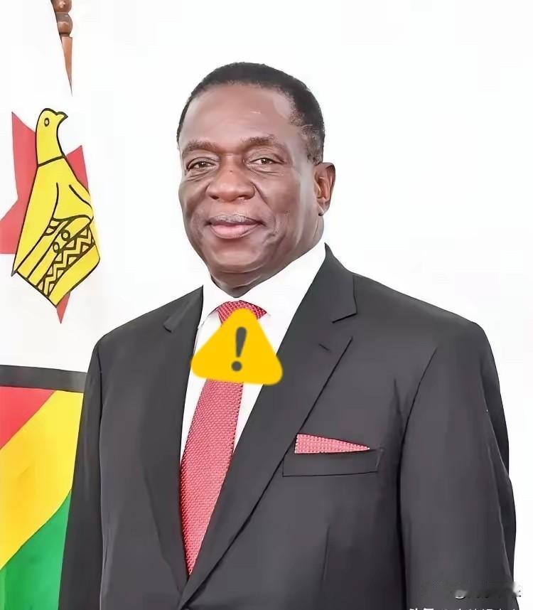 前脚巴拿马不顾中方反对，强行接管了巴拿马港口，后脚津巴布韦突然宣布暂停锂矿出口。