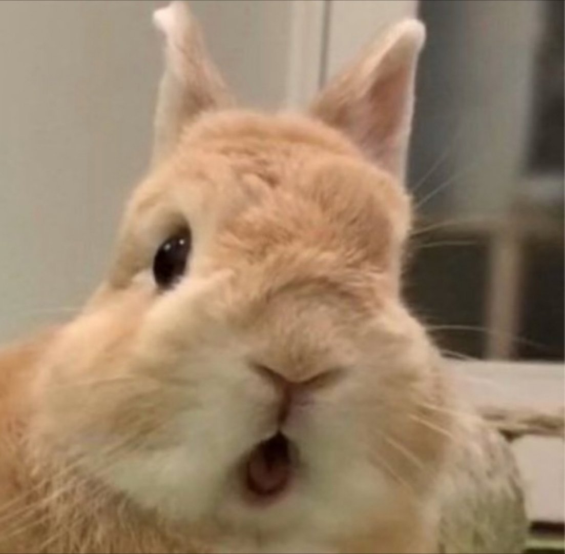 😲 