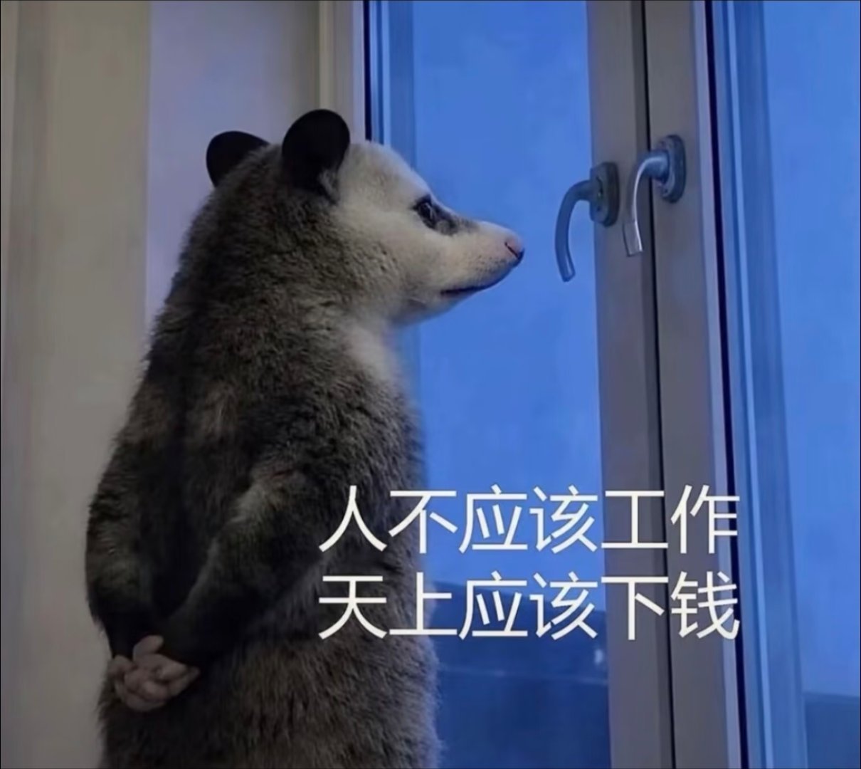 强哥，你说是吧 