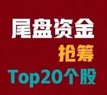 4月13日 A股尾盘30分钟抢筹名单（主力净流入，亿元）1. 海光信息：8.28