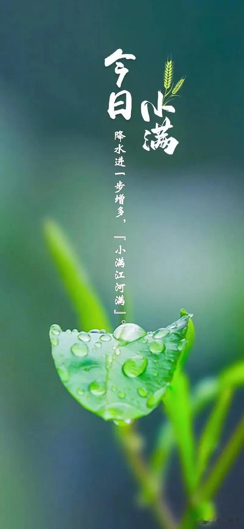 何须多虑盈亏事，终归小满胜万全，时至小满，年将过半，人生不求太满，小满即是圆满。