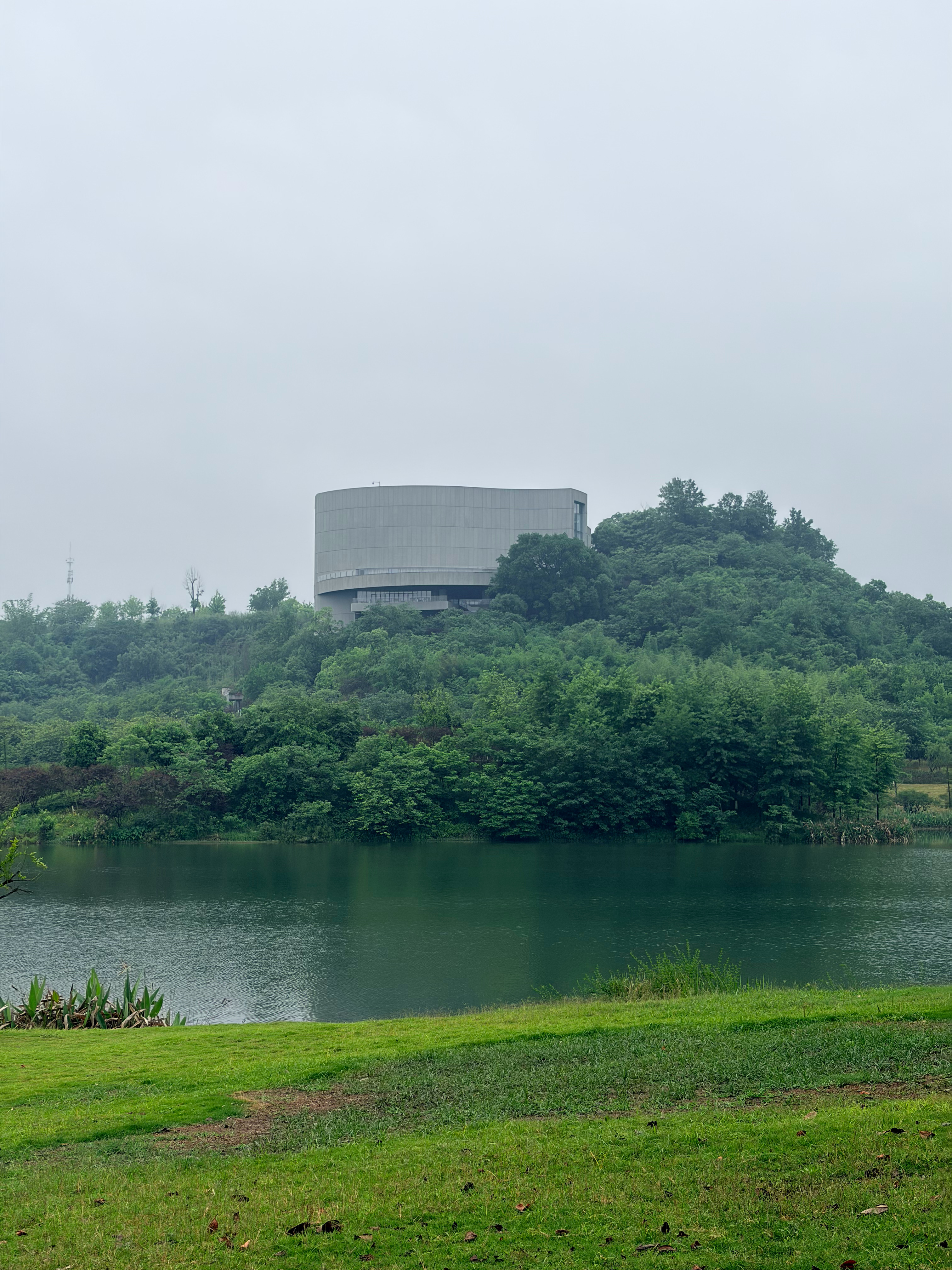 雾都奶爸 今日遛娃，6 公里环湖自行车拉练完成，路边居然有「野生」杨梅，酸死了。
