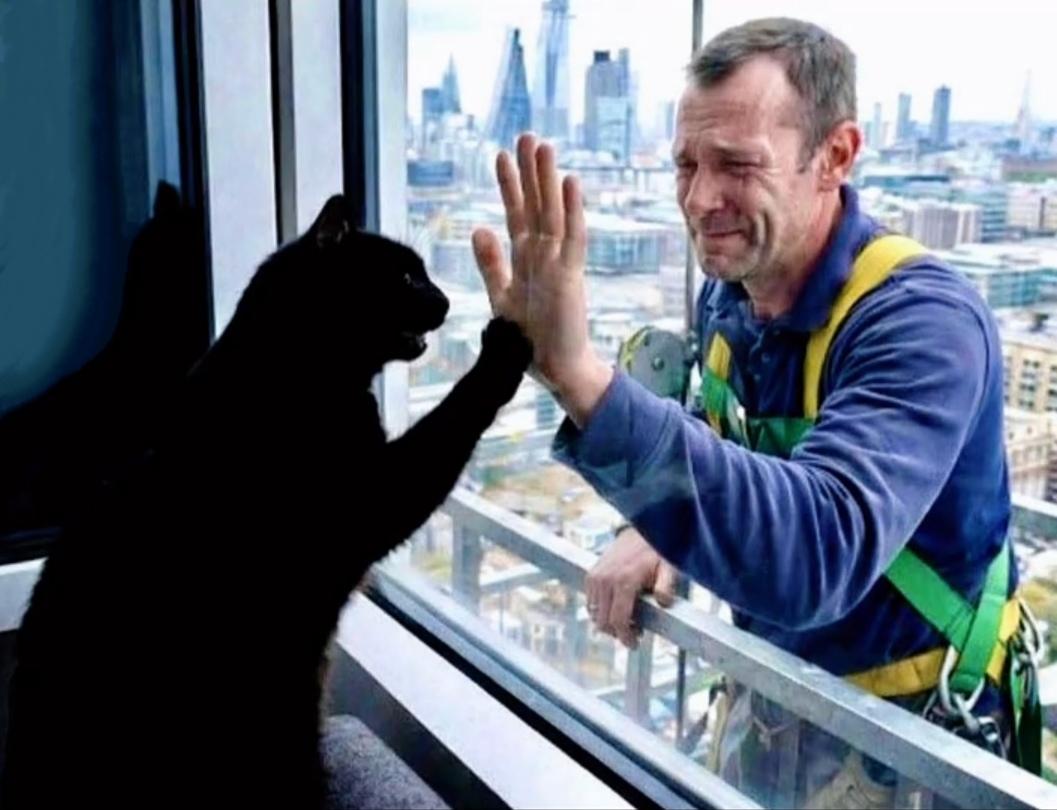 美丽邂逅——暖心的一幕……


伦敦一栋摩天大楼30层住着一只黑貓，白天主人不在