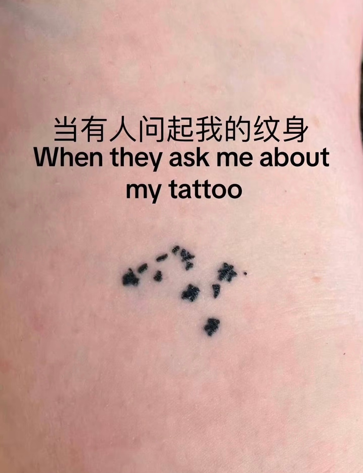为了小猫纹的纹身   #当有人问起我的纹身# ​​​