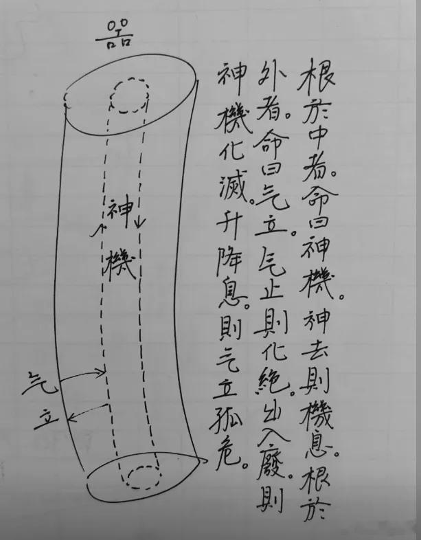 这图讲的是人体两大生命动力：神机是先天之本，像种子里的生机，决定寿命长短；气立是