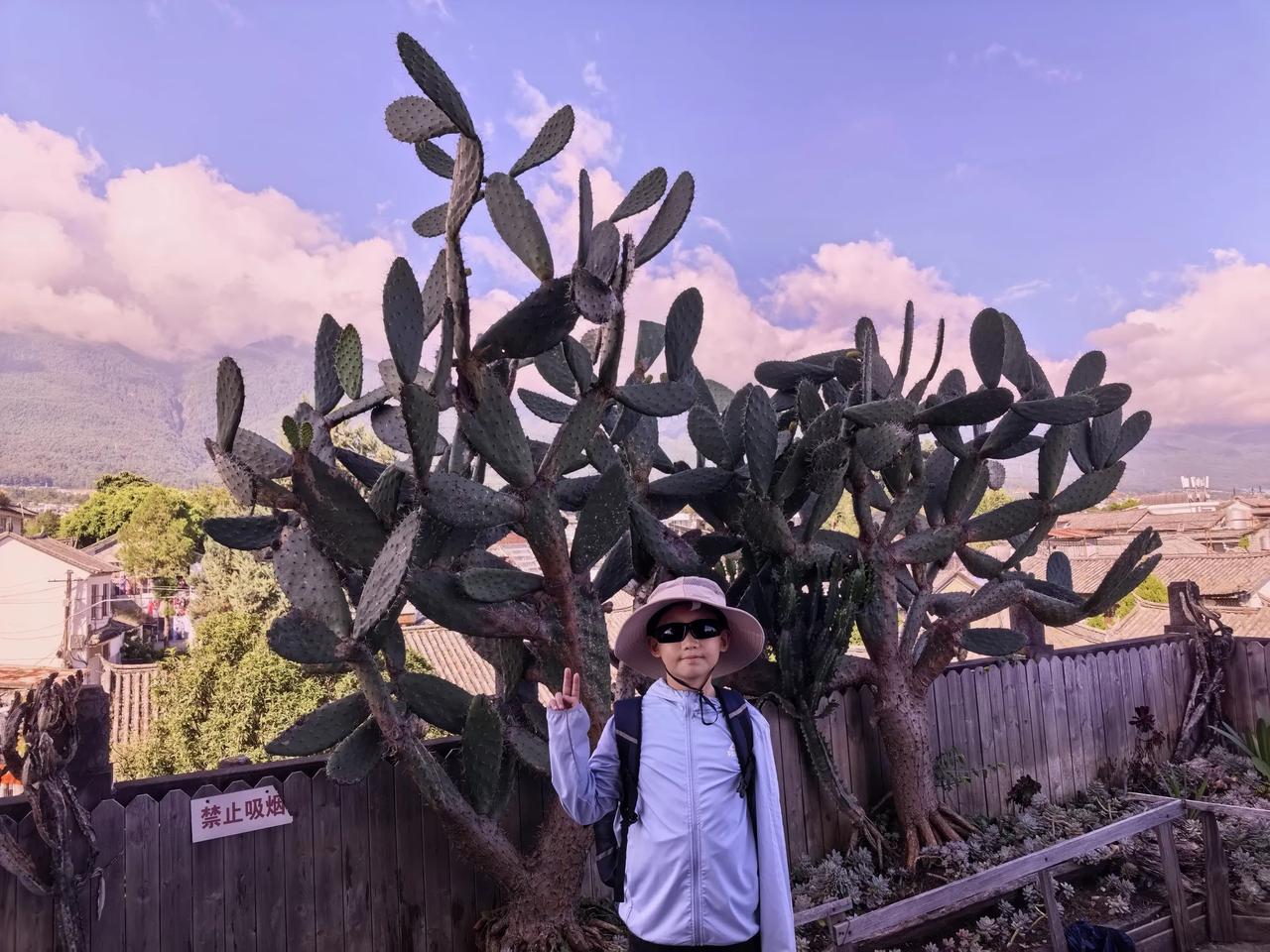 游云南大理（六）
大理再见了！
虽然我的首次大理之旅，就只有短短的一天时间，但是
