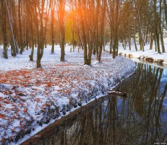 谢邀
上联：秋尽冬临树千色，
下联：春萌夏蕴花百格，
下联：朝来暮往景一重。