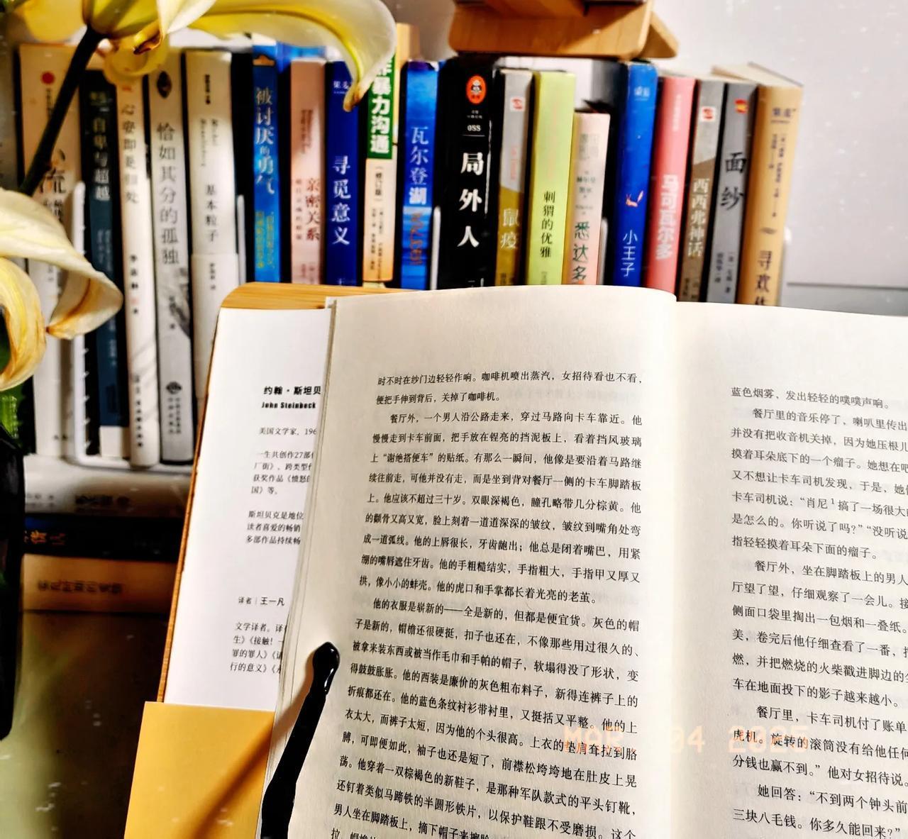在阅读大师们的作品时，我能感受到他们高贵的品性、伟大的人格，还有撕裂挣扎、渴望探