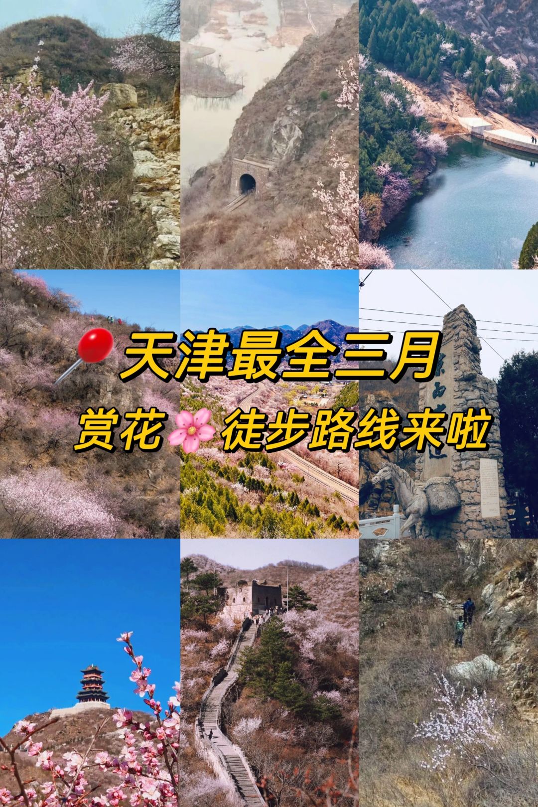 山桃花快开了天津三月最全赏花🌸徒步路线