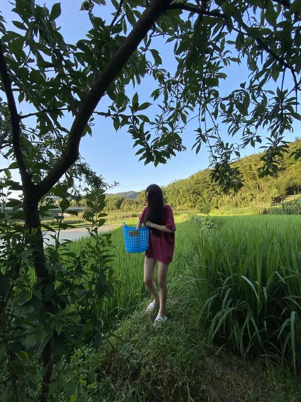 田园生活照，那可太有味道了！就像长溇村，“六一”去那儿过田园慢时光超棒。在6公里