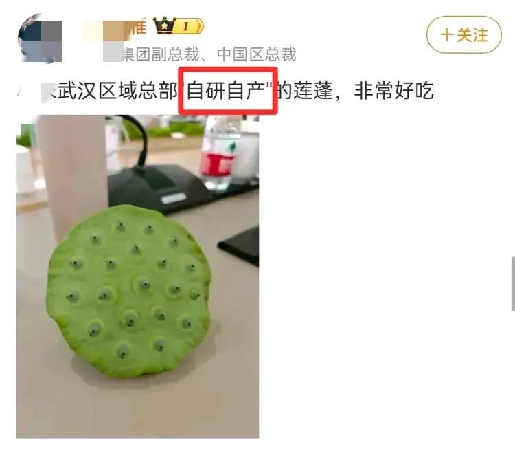 感觉不久的将来“自研”俩字应该会像“卧龙凤雏”一样从褒义词变成贬义词，越缺什么就