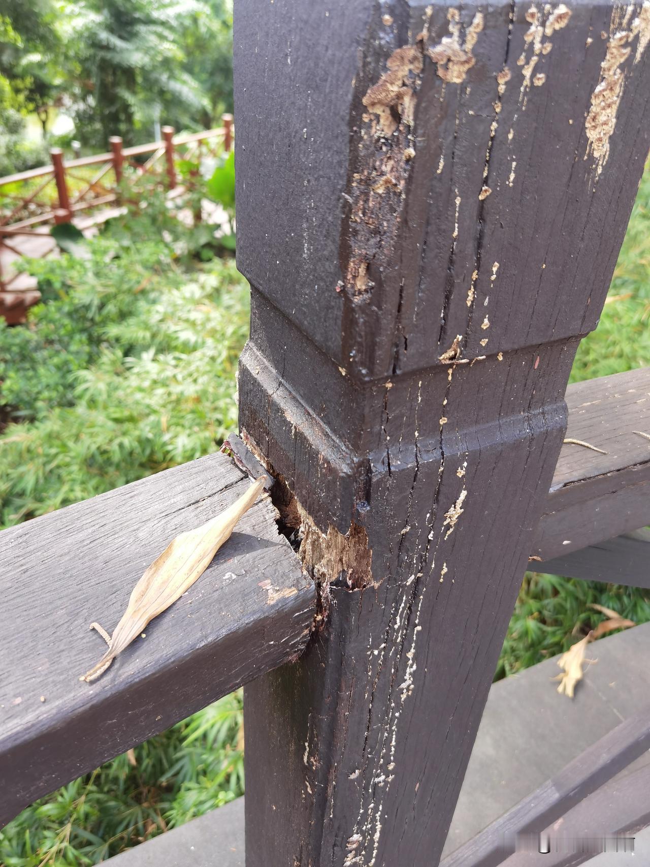 公园用真木头做护栏的弊端
太容易腐坏了，下雨潮湿，蚂蚁等虫子啃食，一旦坏了，基本