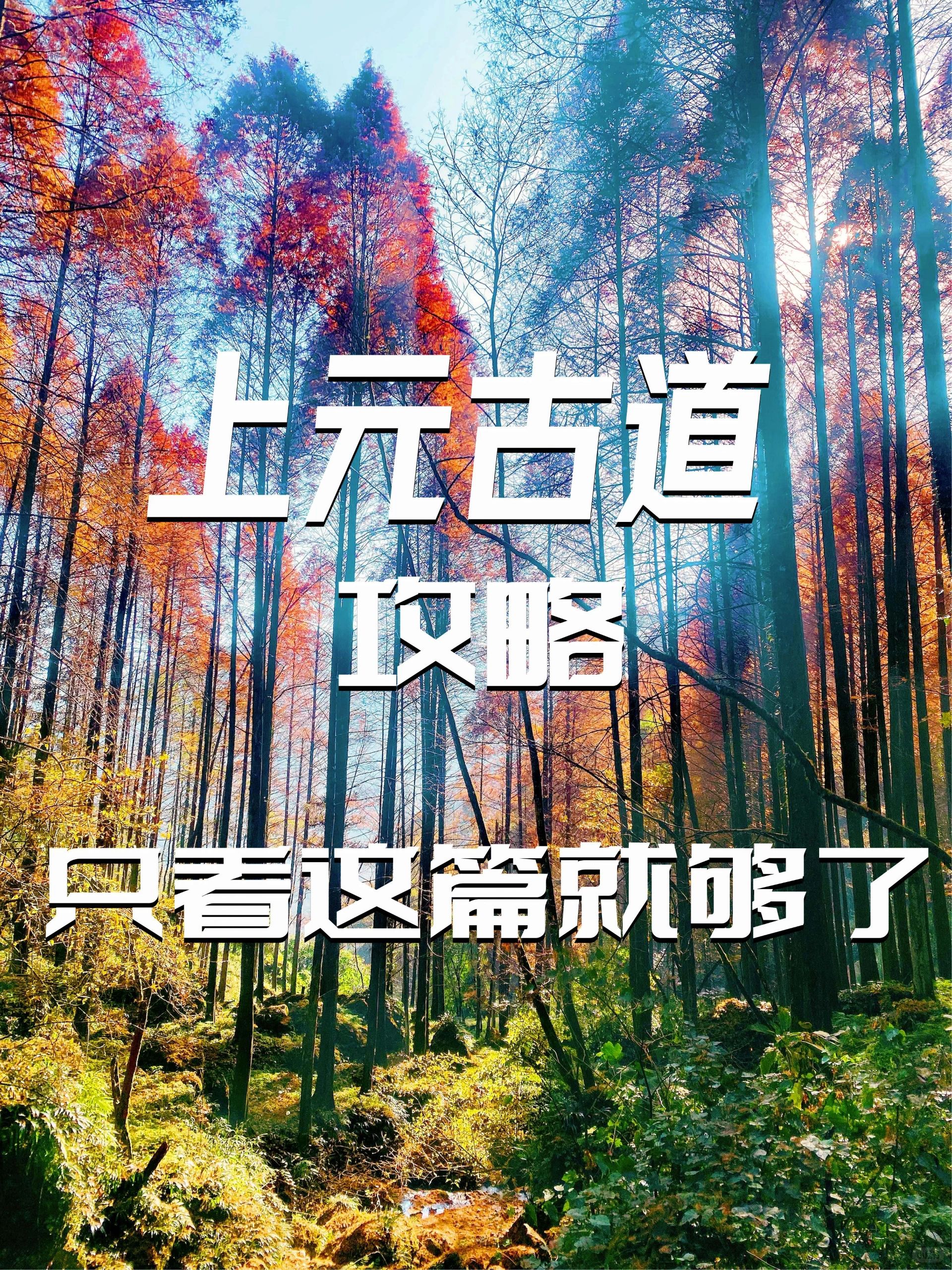 周末值得一去的地方｜走古道、赏秋色