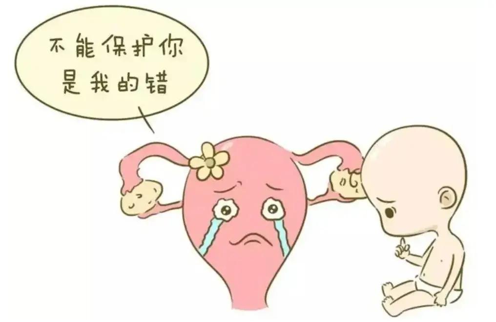 【胎停并非“毫无征兆”，5招降低胎停率！】健康真探社胚胎停育，指的是女性受孕后，