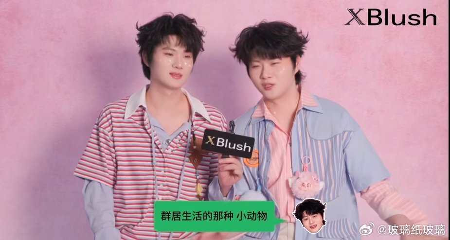 由动物塑话题引申到觉得高乐高像什么小动物，哥俩又好像一个人在说话一样，你一句我一
