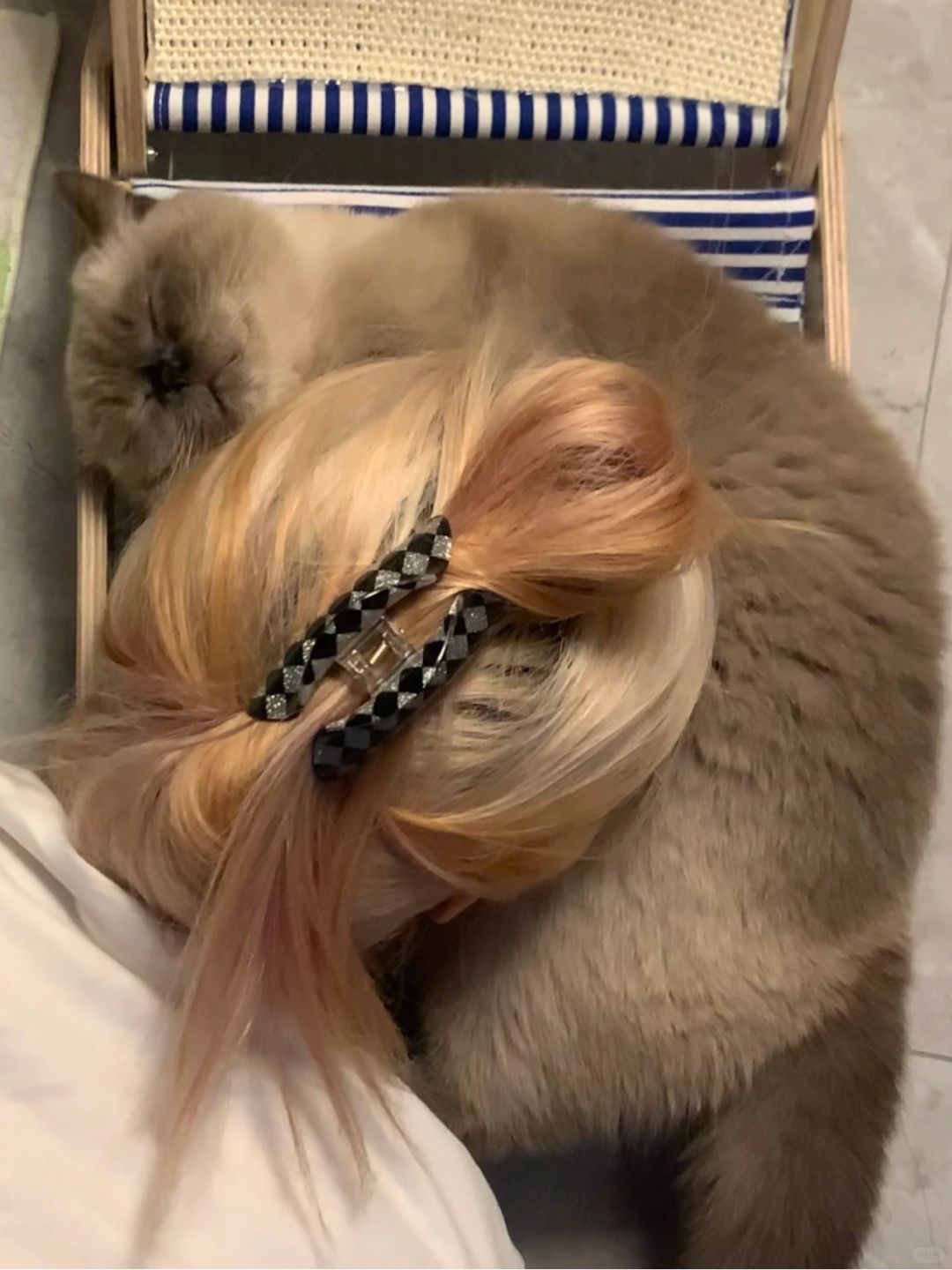 我的小猫充电器