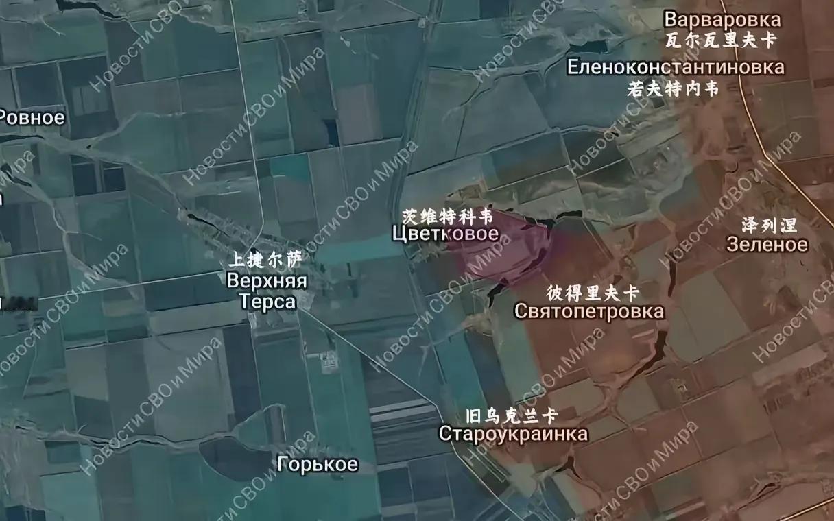 俄军闪电战术显威，扎波罗热乌军防线告急！
俄军东部集群在扎波罗热州的推进速度让乌