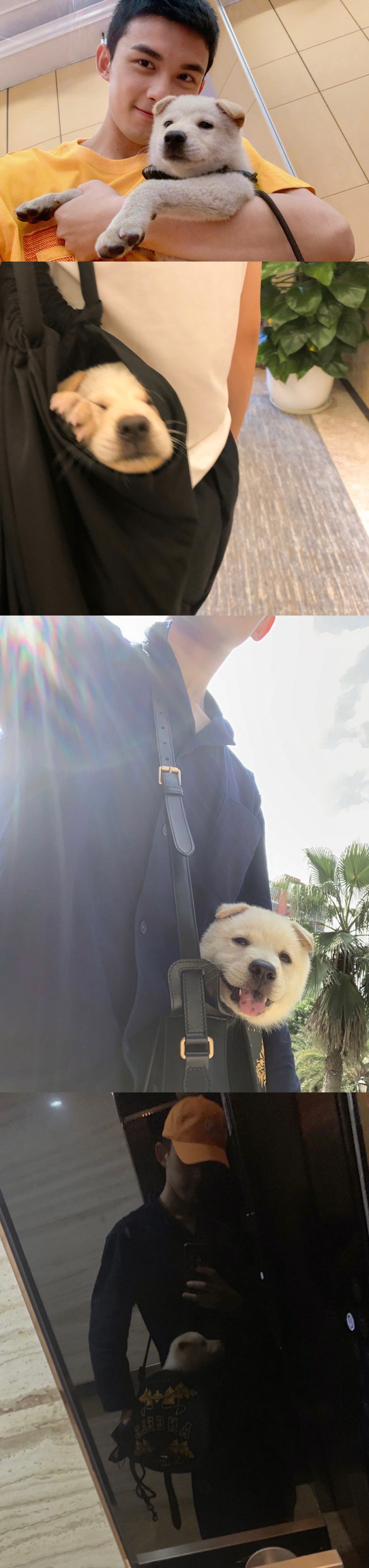 吴磊 阿北在东极岛很想你想魂穿小北，去跟吴磊贴贴 ​​​