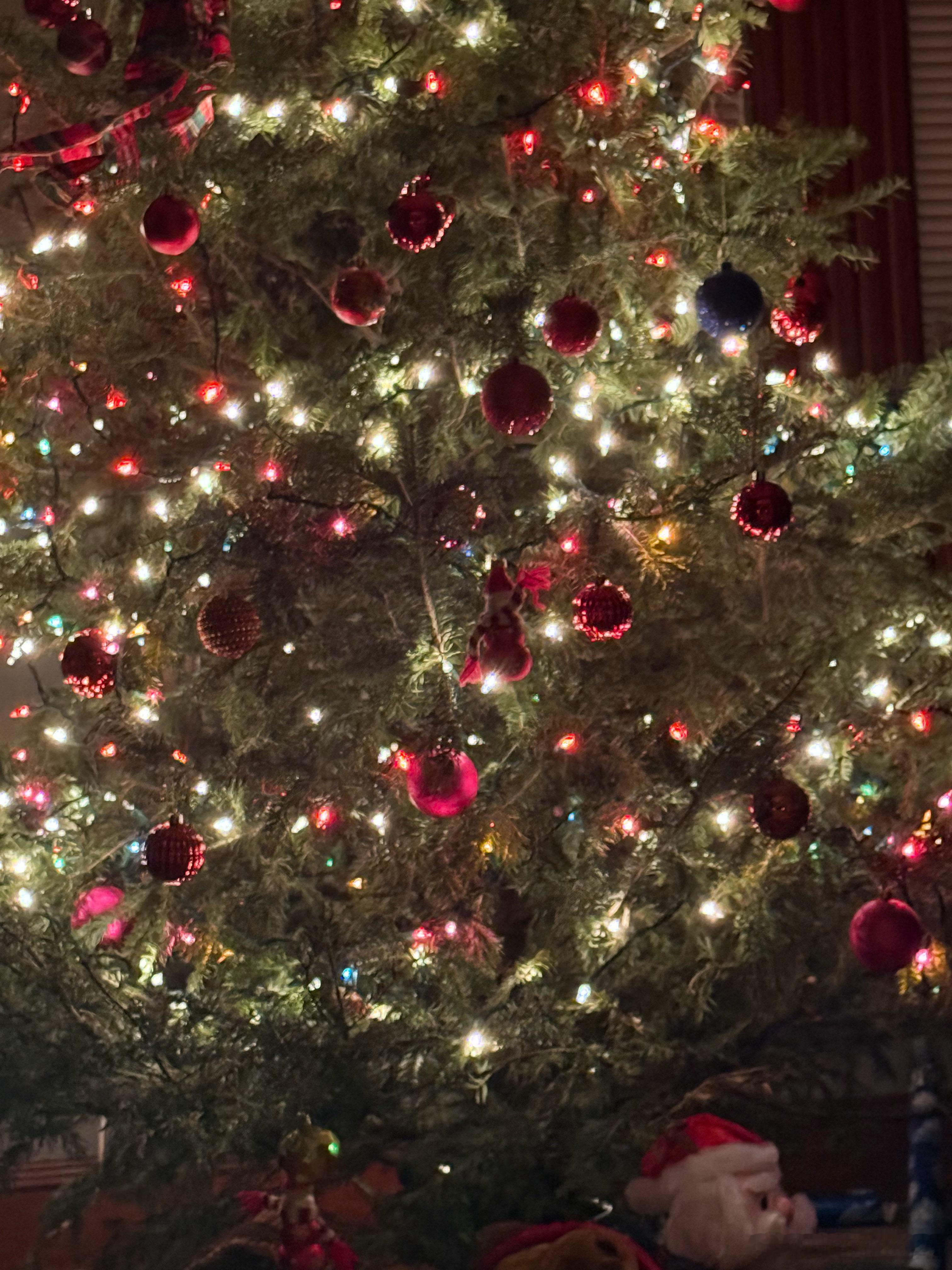 ㊗️我爱的你们，在新年里，所求皆如愿，所行皆坦途，阖家平安，喜乐！