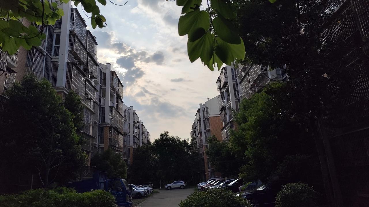 夏日风景欣赏
