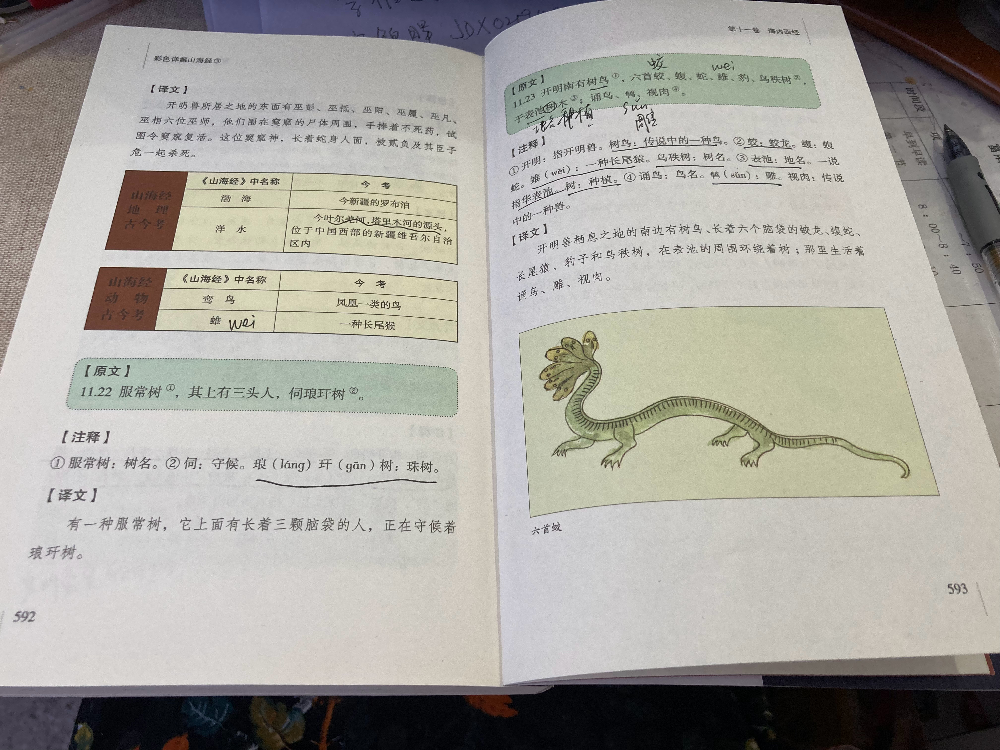 #杨紫国色芳华##特别陪伴杨紫何惟芳160天# 读书打卡152天《山海经》593