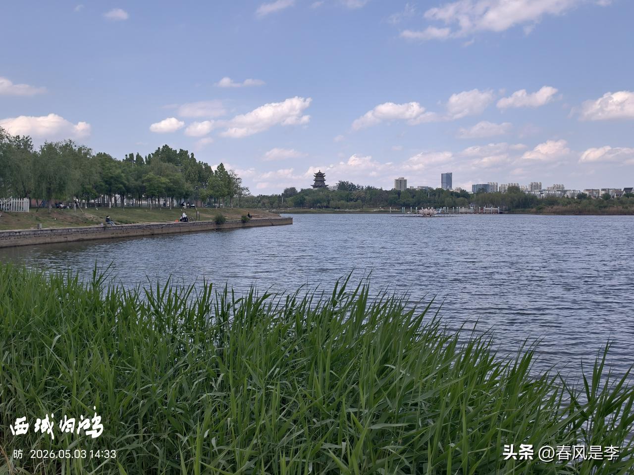 可以分享一张你拍的天空美照吗每一张天空美照都是地域特色与天空深邃的融合，东营亦是