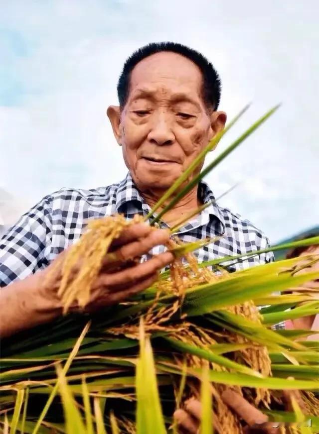 在网上有人提出袁隆平和钟南山两位专家，你更喜欢谁？为什么！
   我想了想，不好