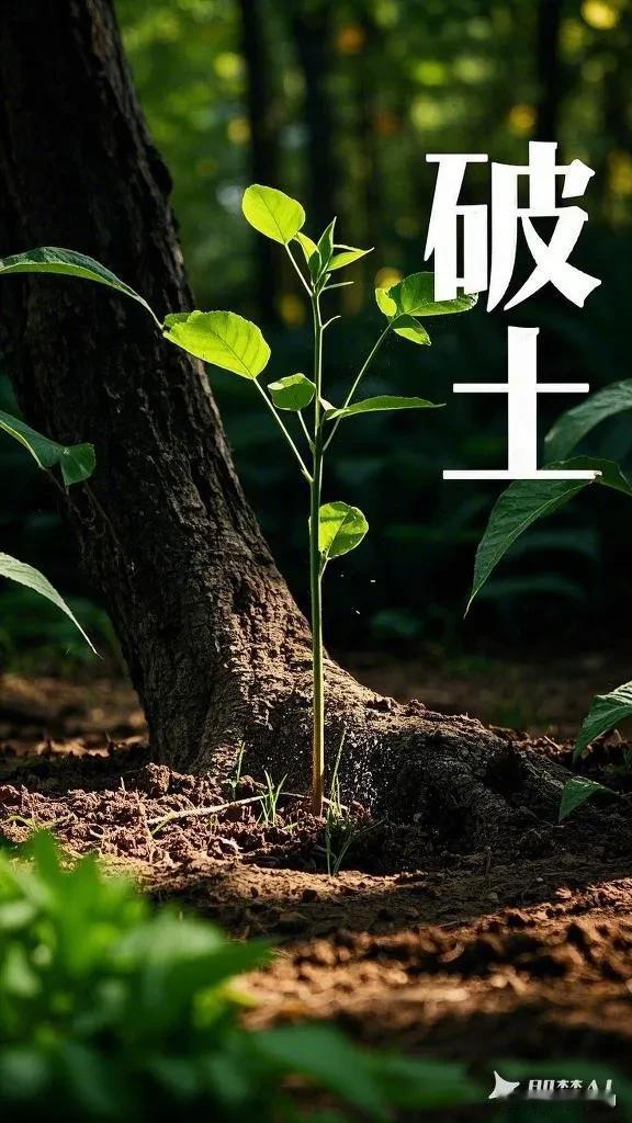 《破土》
泥土的褶皱里
游出一串绿色的闪电
裂缝深处，春天正咬着光

蚯蚓翻卷旧