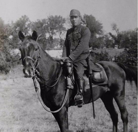 抗战胜利后，七万多匹日本军马成了烫手山芋！这些东洋马可不是普通牲口，当年小鬼子为