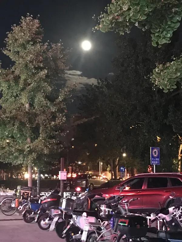 中秋节赏月
（一）
银盘朗照碧霄长，桂影扶疏暗送芳。
玉露凝光晶璀璨，金风拂面夜