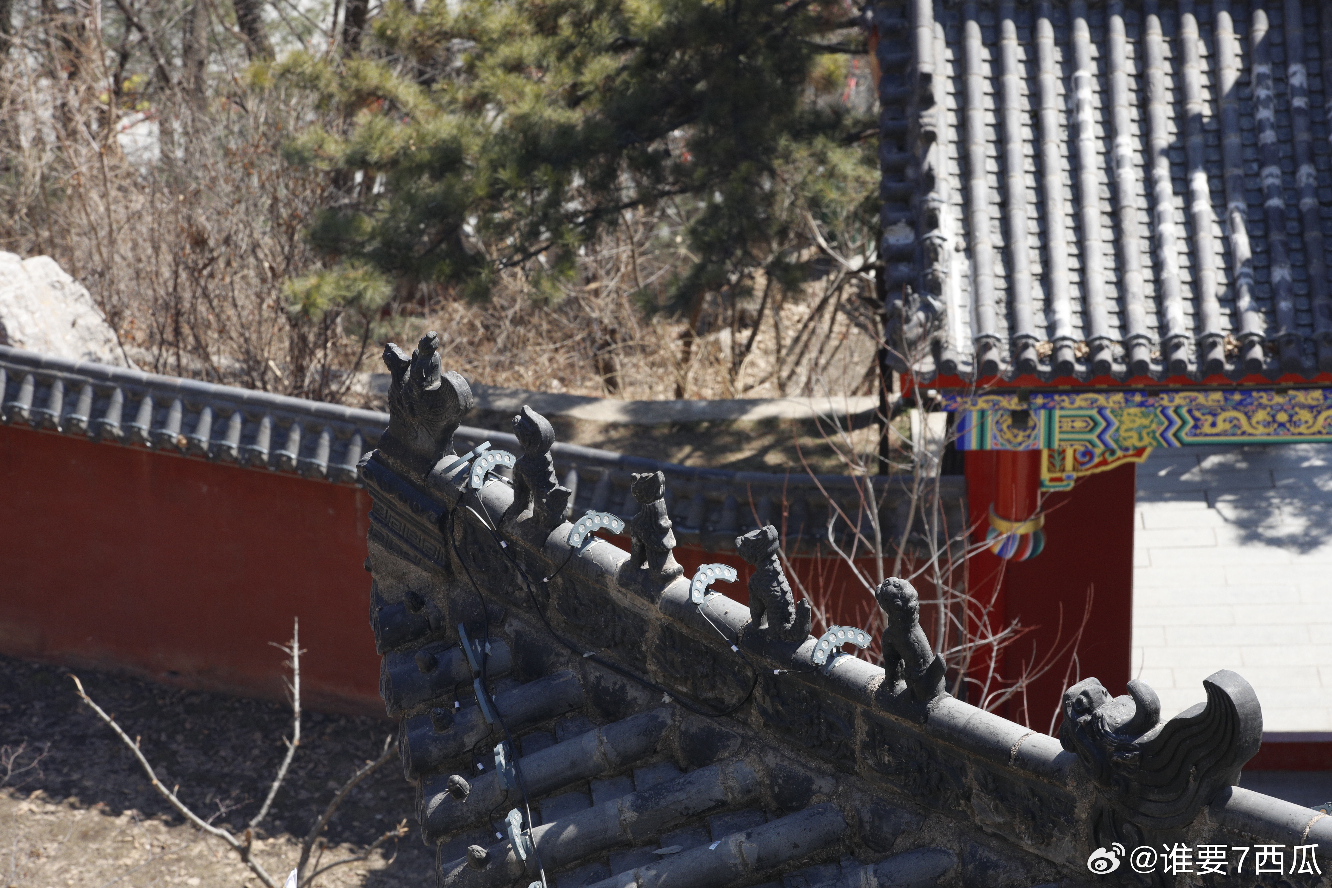 清明小长假最后一天，来辽宁铁刹山，把假期过得既有仪式感又有好福气。漫步青山之间，