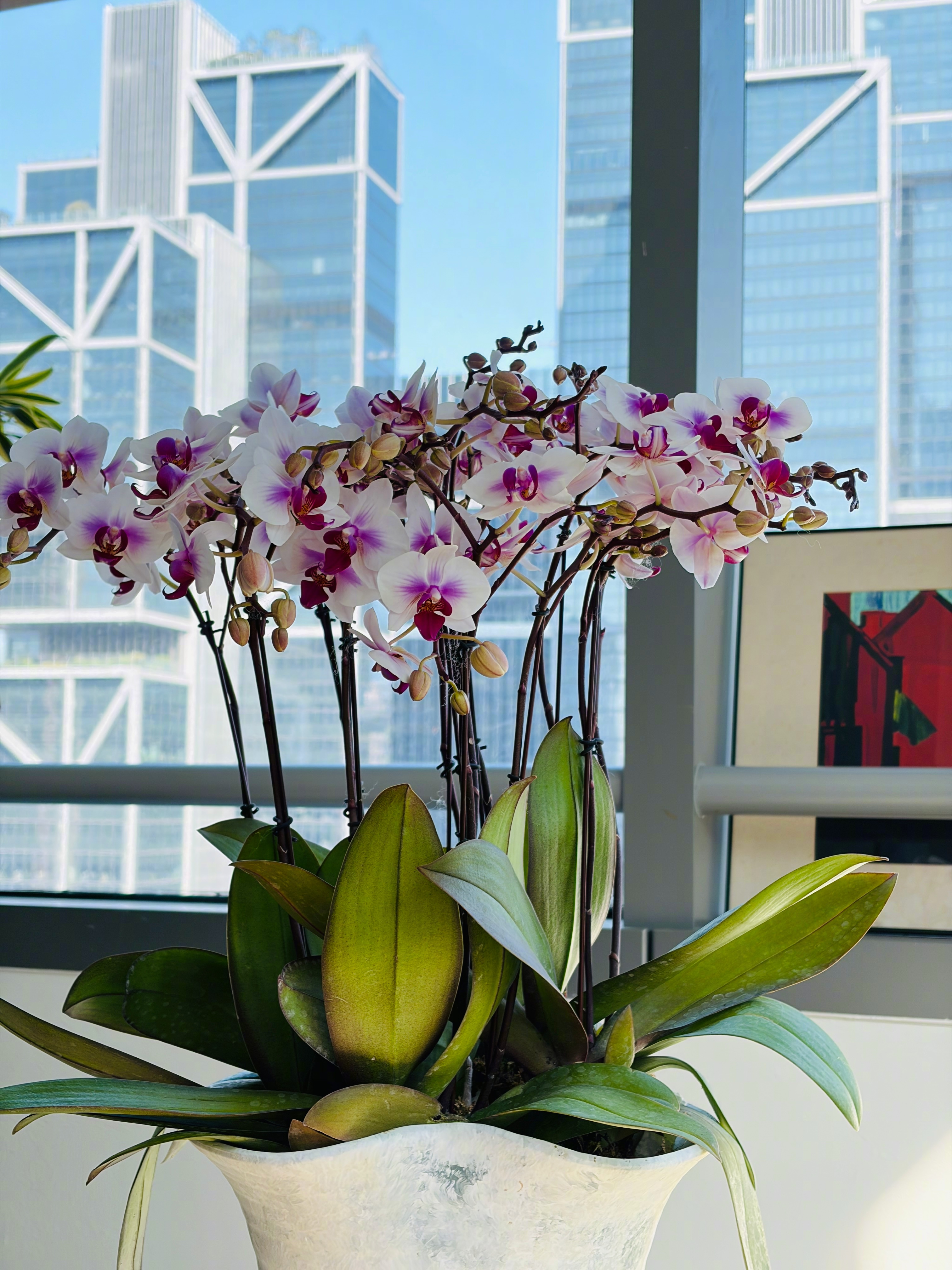 新年第一个工作日，说说心里话。看朋友圈很多人都在发感谢客户，感谢合作伙伴，感谢团