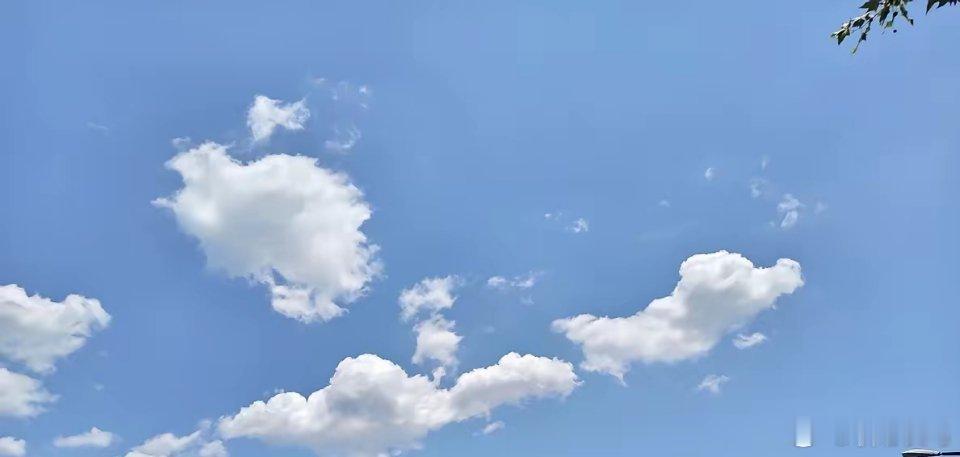 不管你正经历着什么，开心或难过，低谷或高峰，都请记住这句话：如果事与愿违，就相信