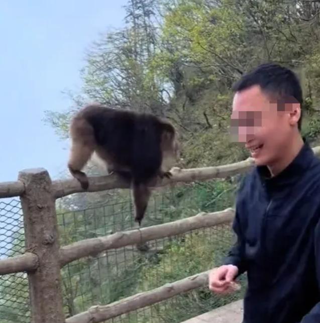 你有没有想过，一个随口的玩笑，一次一时兴起的恶作剧，可能会毁掉一条生命？不久前四