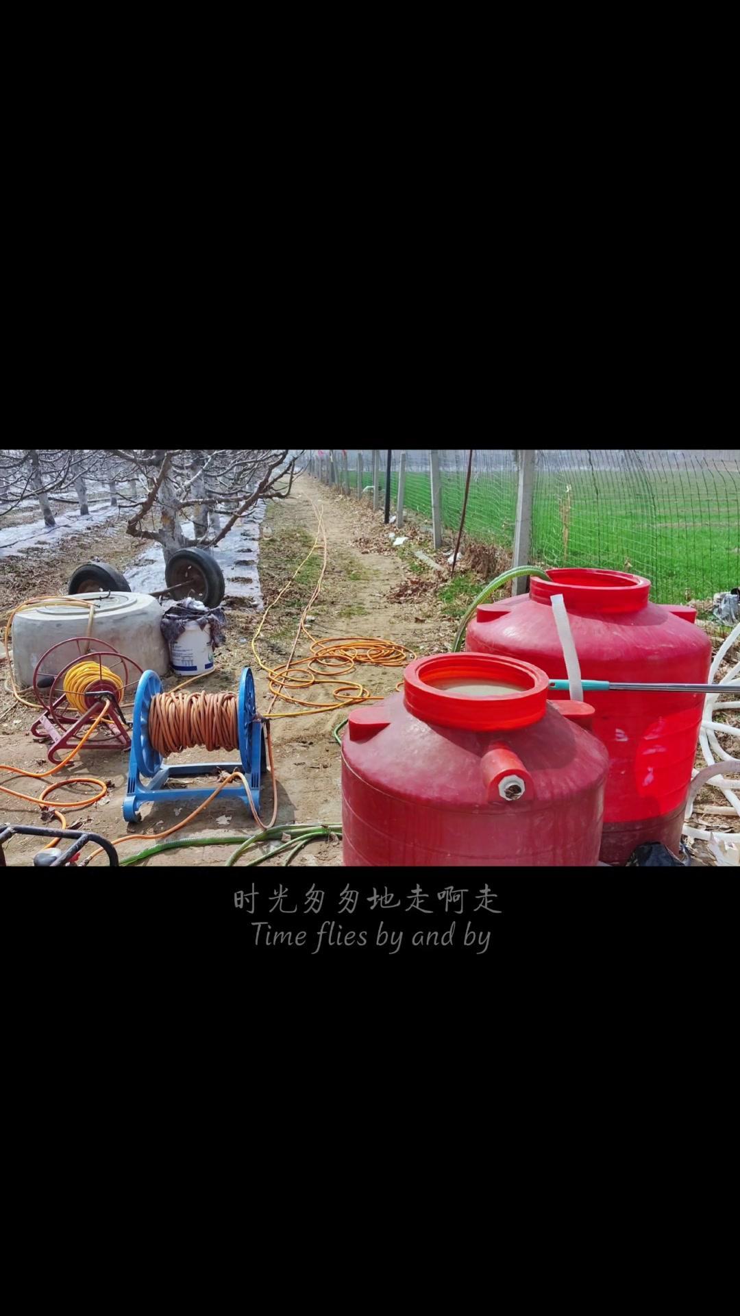 🍒大樱桃花期防冻很重要，-3℃是分水岭，-5℃直接冻坏花，一年心血可能白费！与