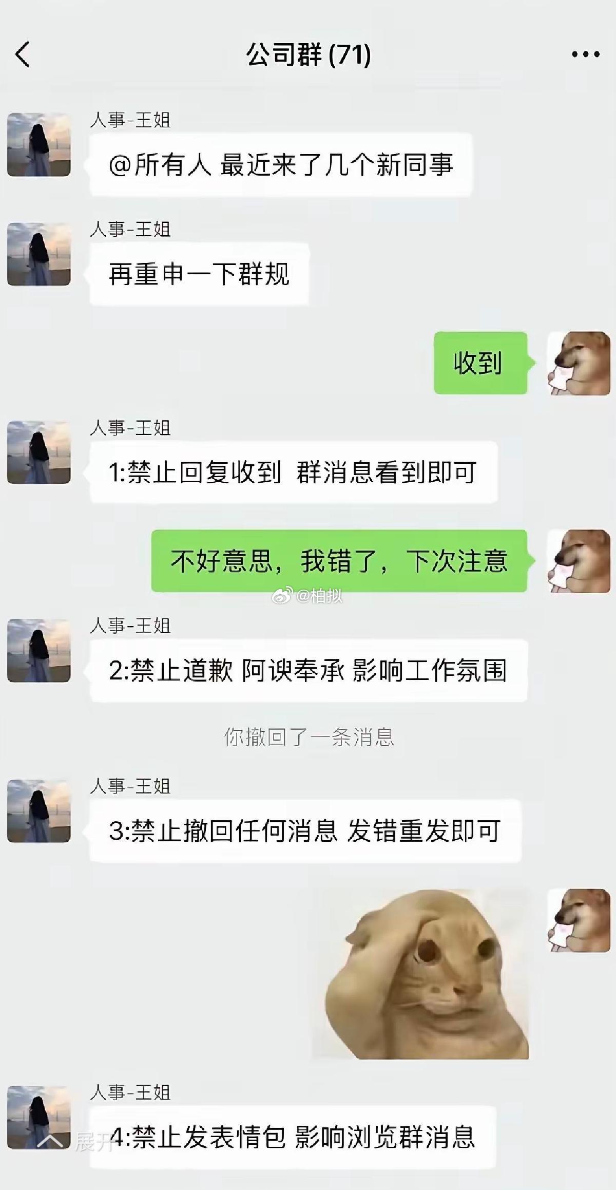 公司新人，有未卜先知功能啊，句句踩雷 