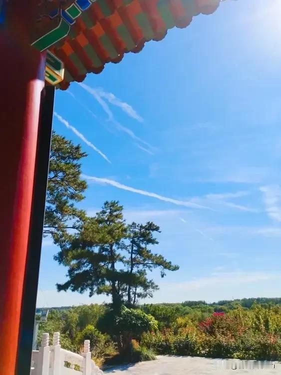 天高云淡，心旷神怡，
心随云起，自在逍遥。
#随手记录秋日生活#
#季天美景随拍