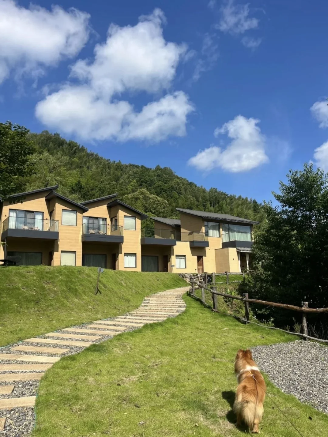 惠州南昆山！独栋山野小院！春节还来