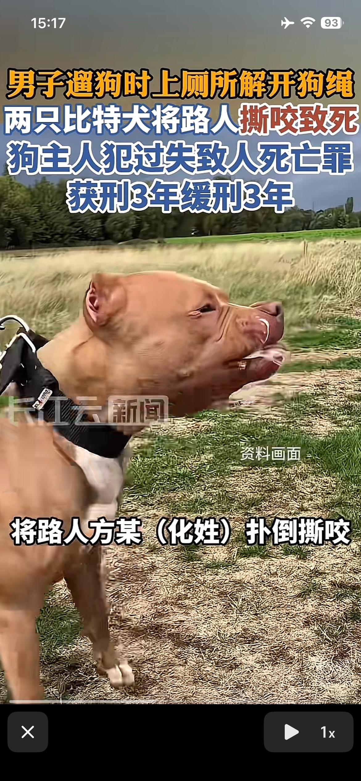 比特犬致人死亡的判决出来了，判三缓三，结果不出意外，只要受害者家属没意见，愿接受
