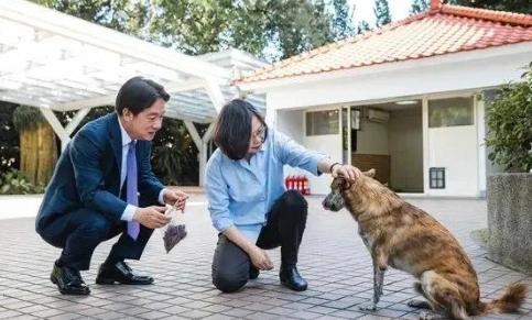 直击灵魂追问！5月12日，台湾当年能参会如今被拒根本原因曝光，民进党别再颠倒黑白