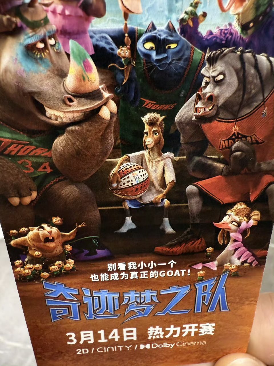 奇迹梦之队首映礼在京举行 以梦为马，不负热爱！《奇迹梦之队》首映礼在京举行，热血