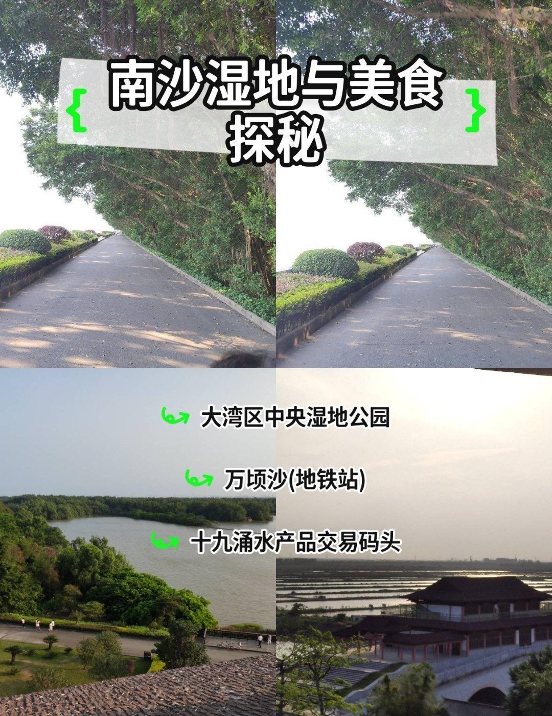 广州最漂亮的湿地公园
📍广州 
南沙湿地公园｜广州的“候鸟天堂”，红树林里的生